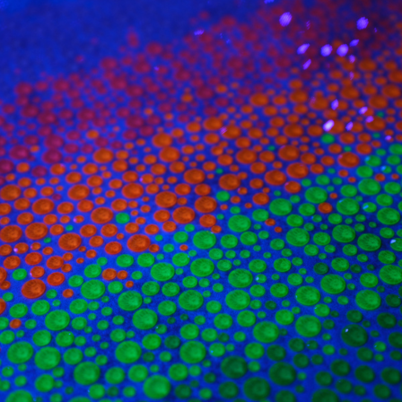 New Crystal Innovation Neon Effects 